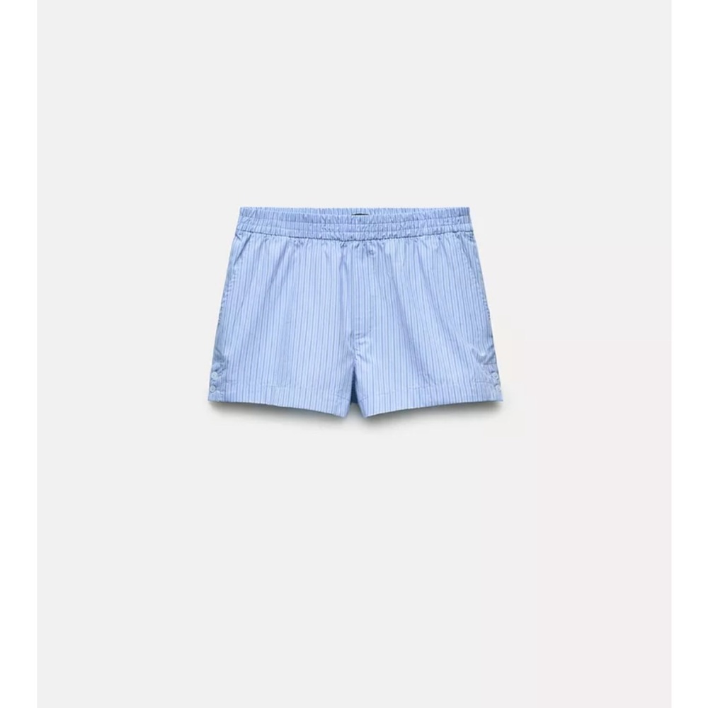 Blue Striped Zara Shorts